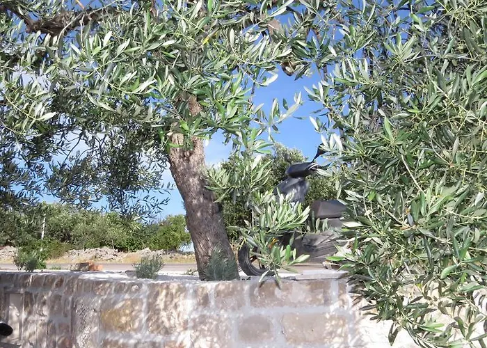 Rita * Milna (Brac)