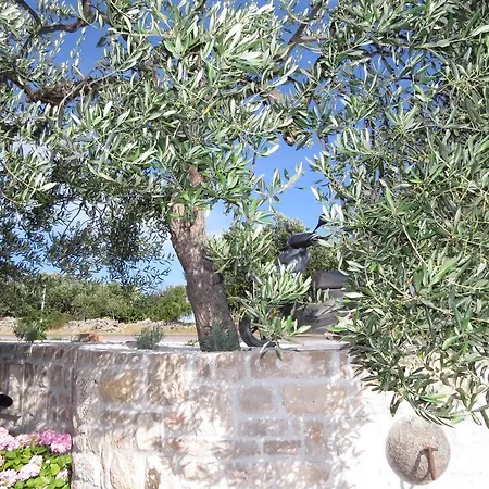 Rita * Milna (Brac)